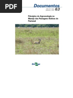DOC63 - Princípios de Agroecologia no Manejo das Pastagens Nativas do Pantanal - EMBRAPA