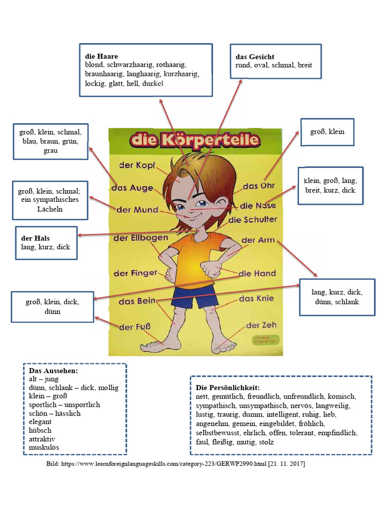 Körperteile - 2024-08-20 14 - 40 - 49 | PDF