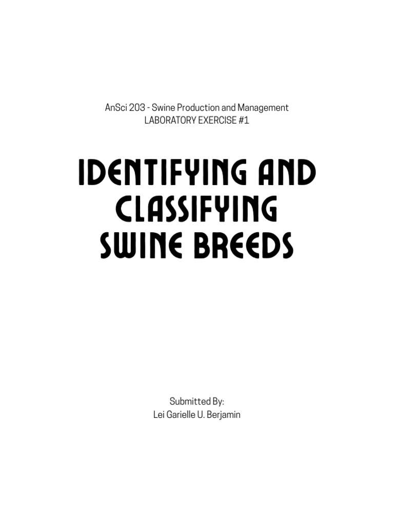 Identifying and Classifying Swine Breeds | PDF | Pig | Livestock
