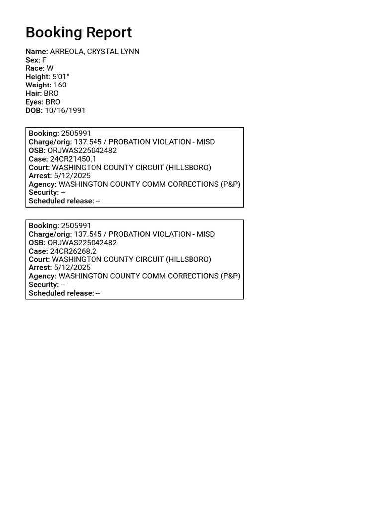 Booking Report | PDF