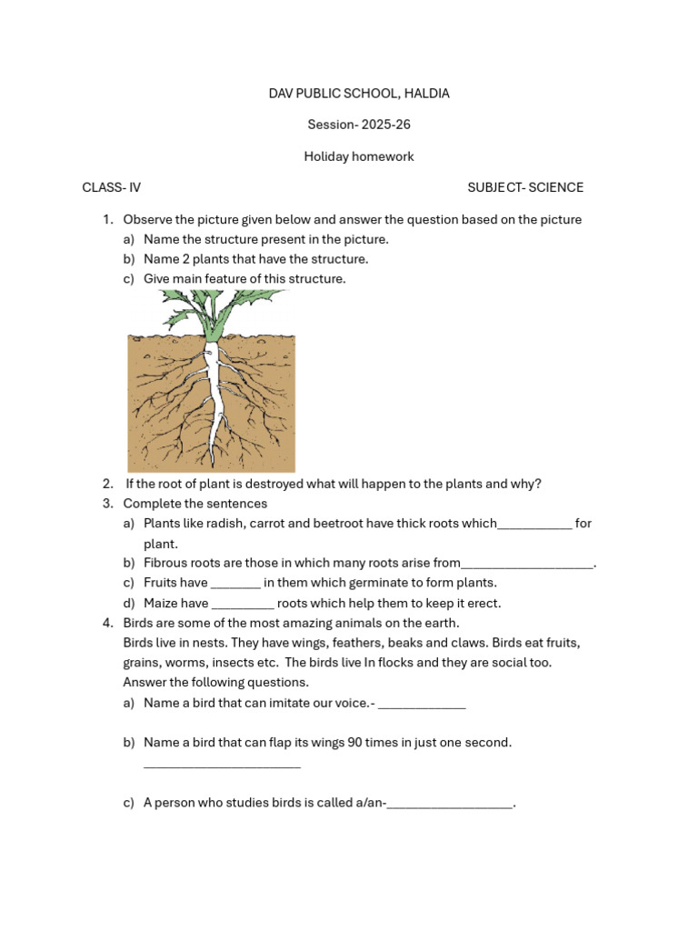 Class IV Science Holiday Homework 2025-26 | PDF
