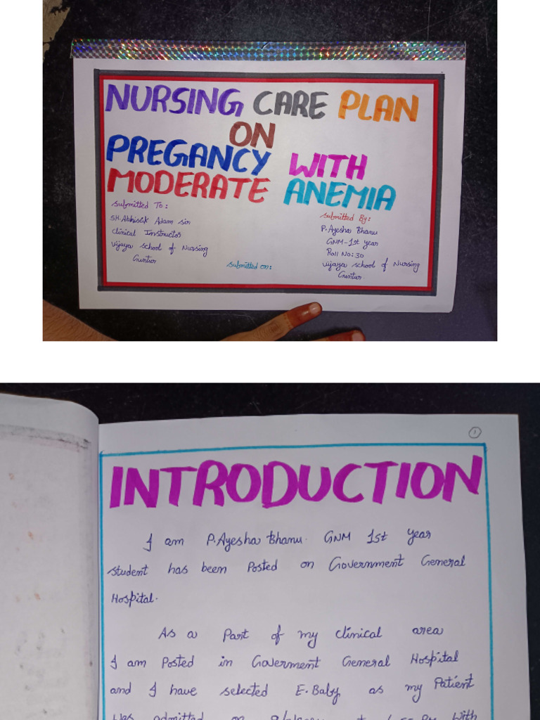 Care Plan On Pregnancy With Moderate Anemia | PDF