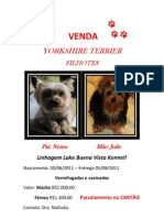 Venda York is Hire Terrier