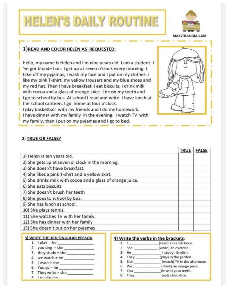 Daily Routine | PDF