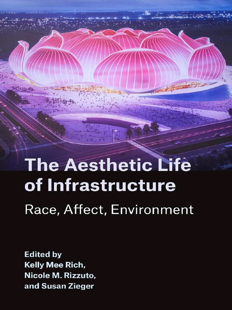 The Aesthetic Life of Infrastructure - Race, Affect, - Kelly M - Rich ...