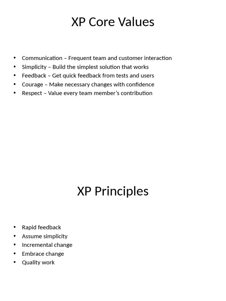 XP Values Principles Brief | PDF
