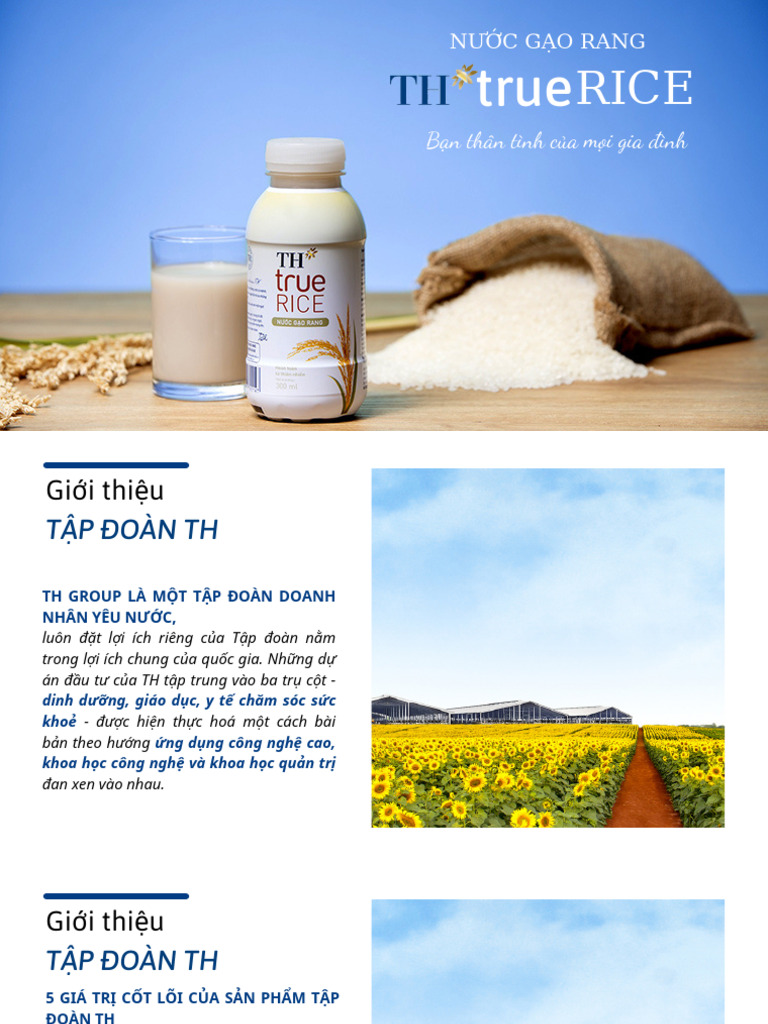 Kế hoạch truyền thông TH true RICE | PDF