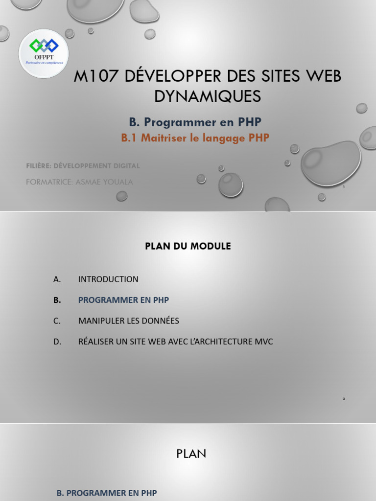 Maîtriser l'affectation en PHP | PDF | PHP | Variable (informatique)