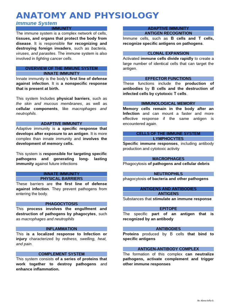 Immune System Overview and Functions | PDF | Immune System | Adaptive ...