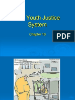 Ch. 10 Youth Justice I