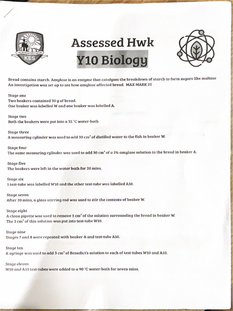 Scanned Document 26-11-2024 at 7.56.16 PM | PDF