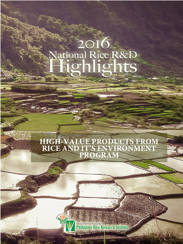 High-Value Rice Products Overview | PDF | Rice | Foods