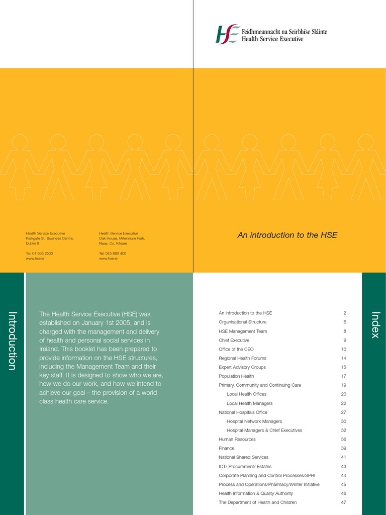 An Introduction To The HSE | PDF | Chronic Condition | Health Care