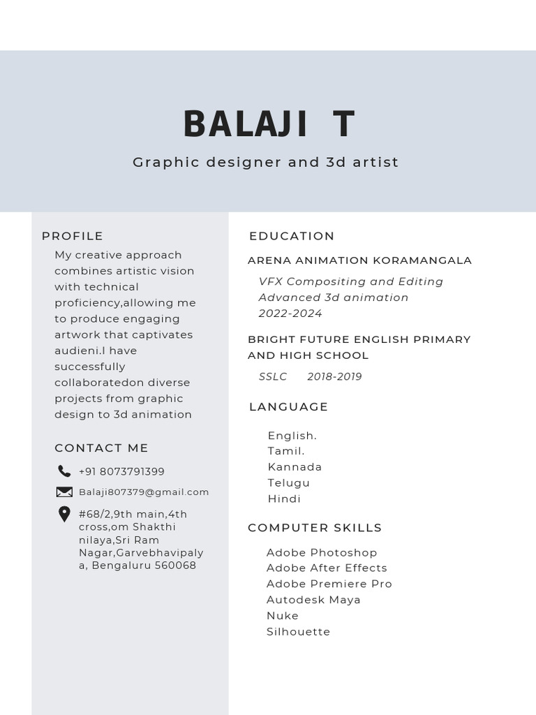 Animation Resume | PDF