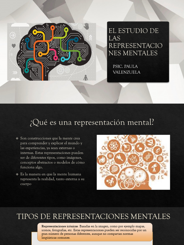 El Estudio de Las Representaciones Mentales | PDF