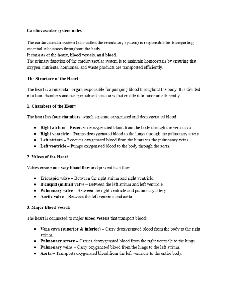 Cardiovascular System Notes | PDF | Circulatory System | Heart