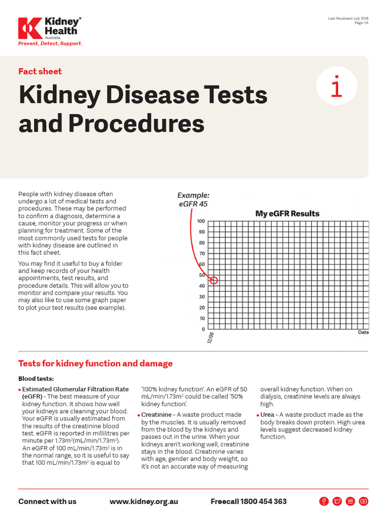 Kidney Disease Testing Procedures Guide | PDF | Cholesterol | Kidney