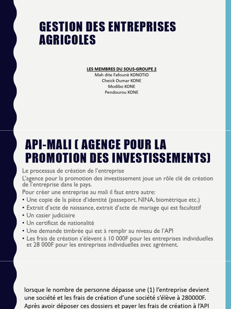 Création d'entreprise au Mali : Guide API | PDF