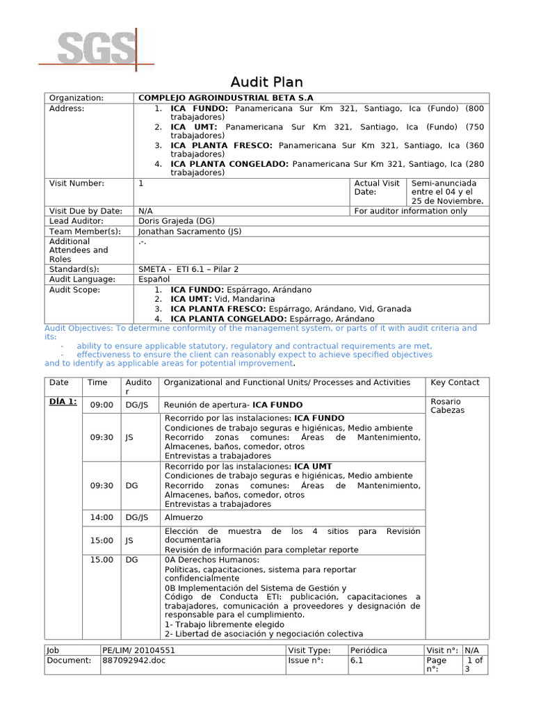 Audit Plan - Complejo Ag Beta - Ica - Nov.2024 Ica | PDF