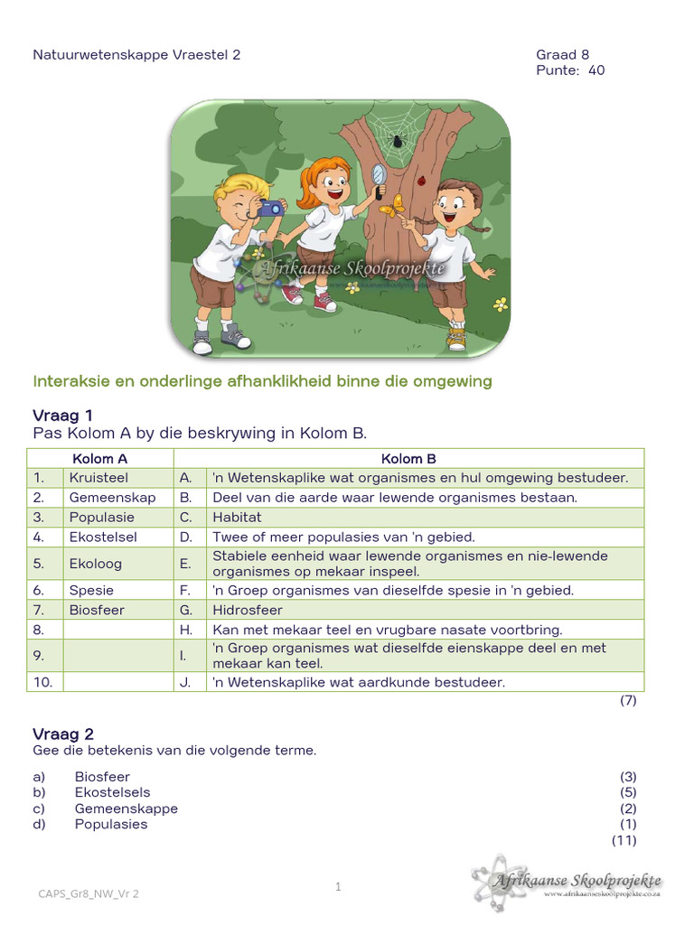 CAPS Gr+8 NW Vr+2 Term+1 80849 | PDF