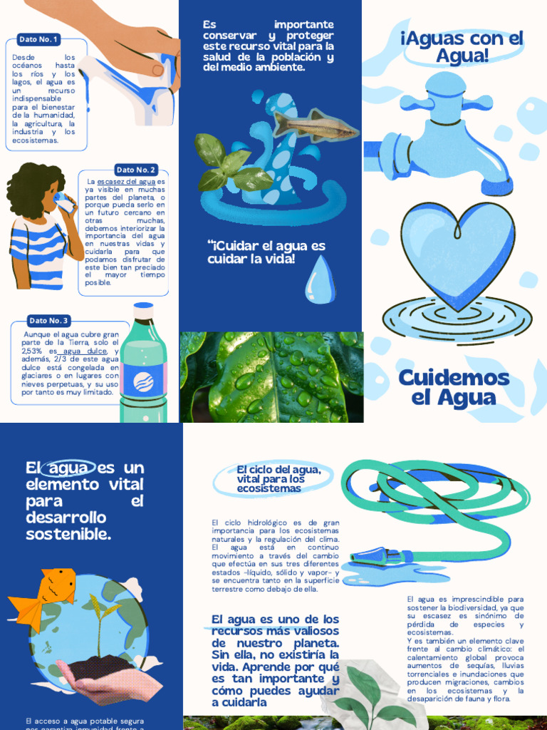 Folleto sobre el Cuidado del Agua | PDF | Agua | Ecosistema