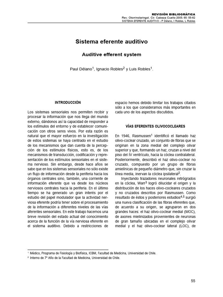 1 HAZ DE RASSMUSSEN | PDF | Anatomía | Sistema Auditorio