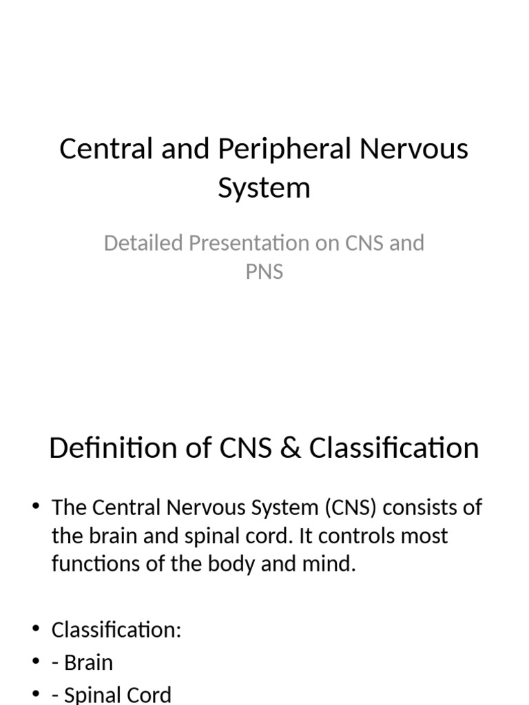 Final CNS PNS Presentation With Images PDF