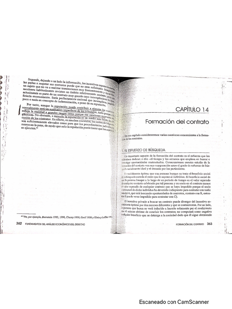 CAPÍTULO 14 SHAVELL | PDF