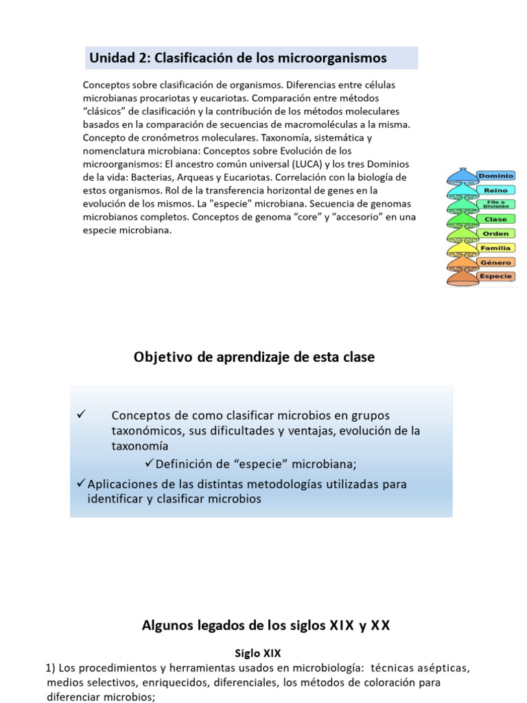 Clasificación y Evolución de Microorganismos | PDF | Evolución | Mutación