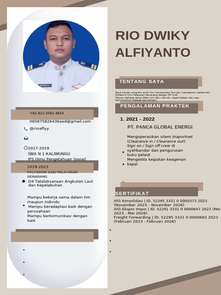CV Rio Dwiky Alfiyanto | PDF