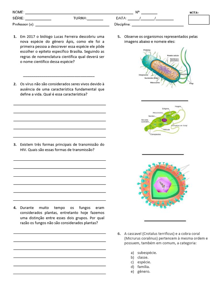Questões sobre Biologia e Classificação | PDF | Vírus | Bactérias