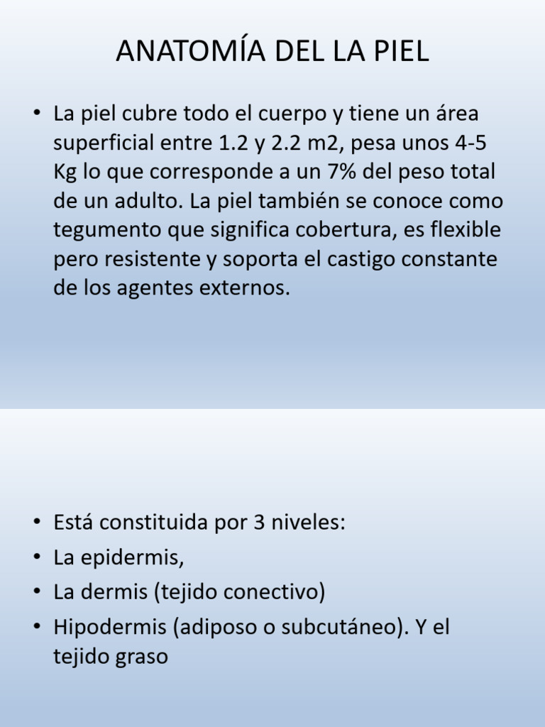 Anatomã A Del La Piel | PDF | Piel | Anatomía