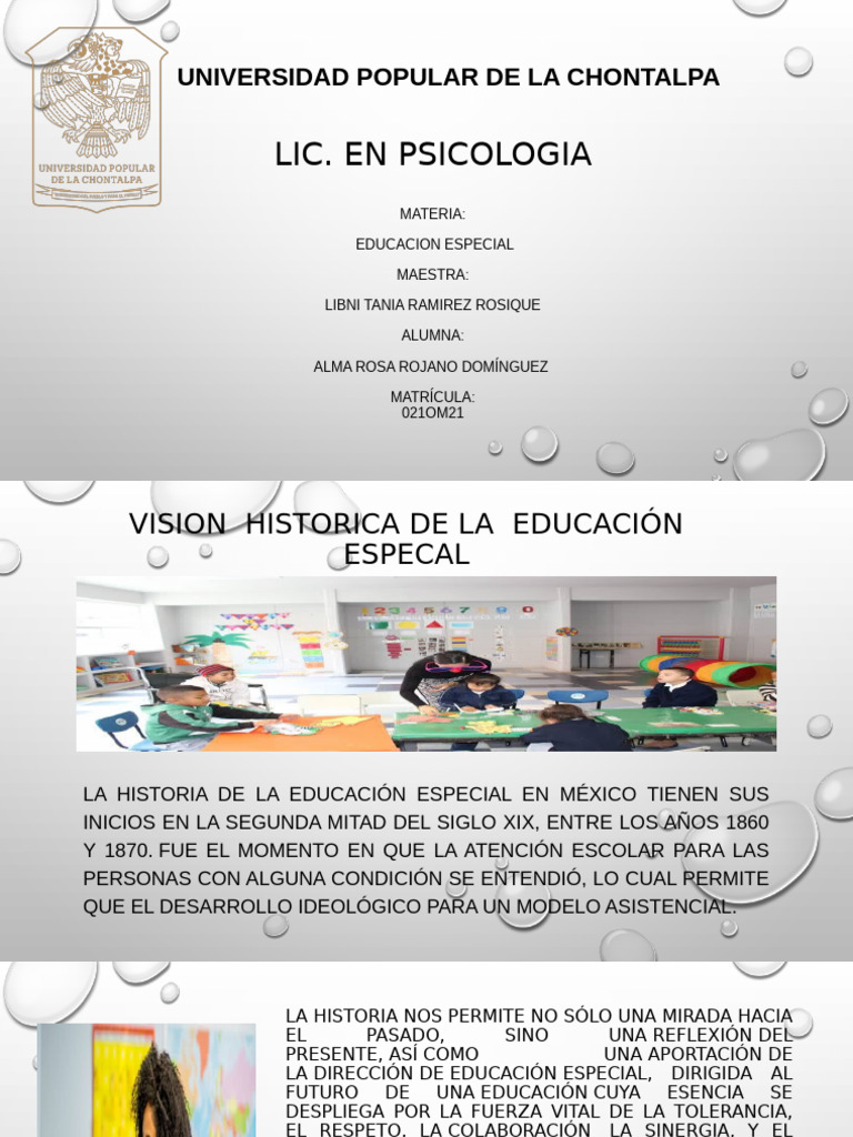 Educacion Especial | PDF | Educación especial | Invalidez
