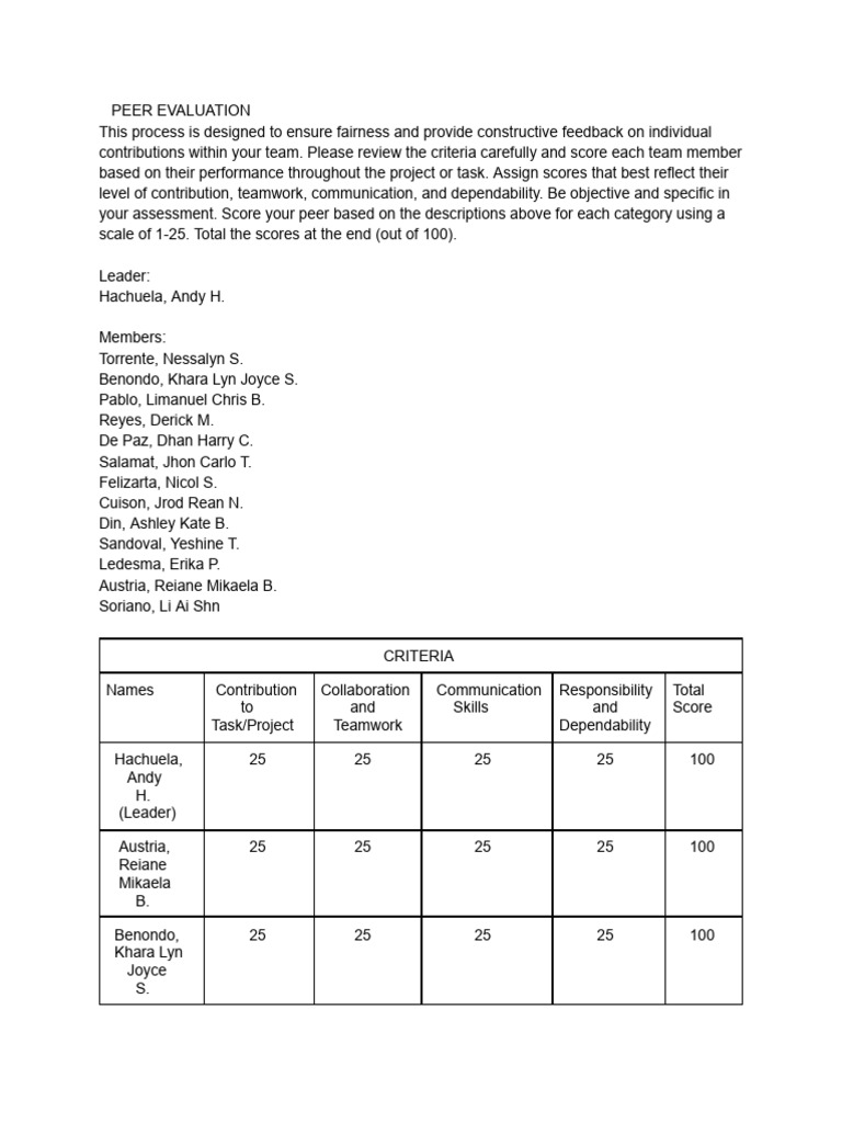 Team Peer Evaluation Criteria Guide | PDF