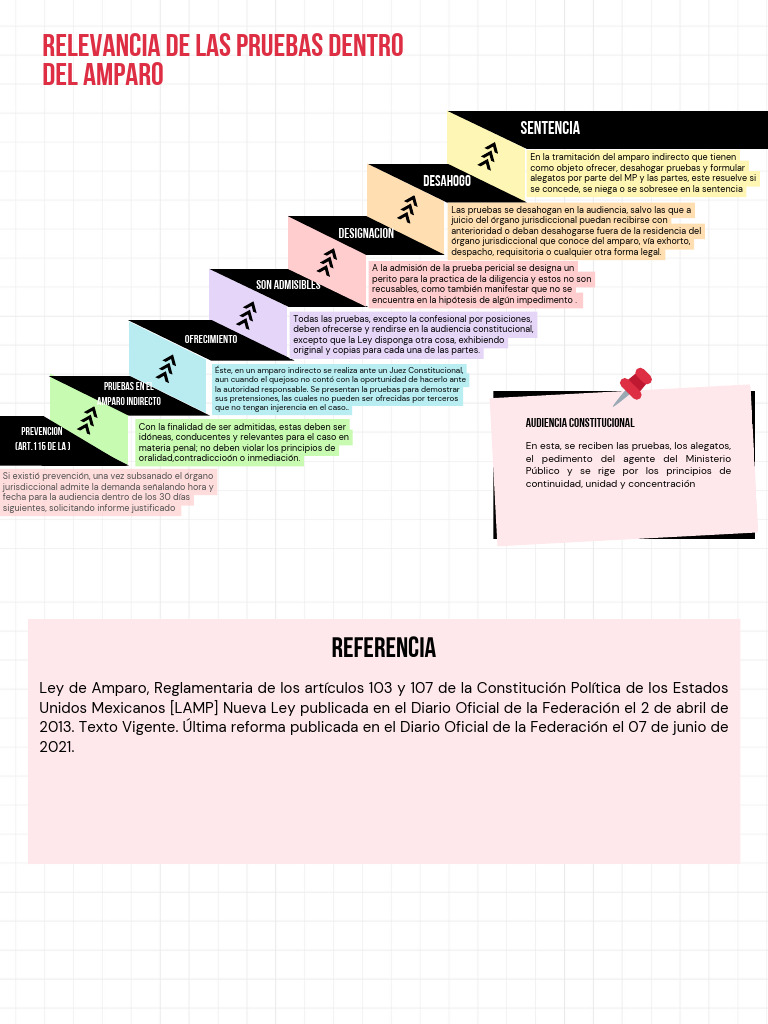 Pruebas en el Amparo Indirecto: Guía Legal | PDF | Jurisdicción ...