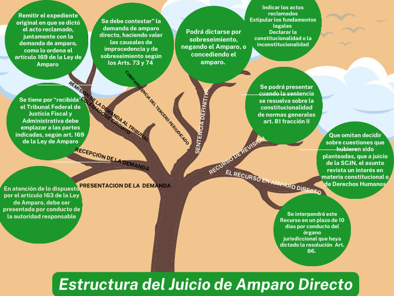 Estructura Del Amparo Indirecto | PDF | Justicia | Crimen y violencia