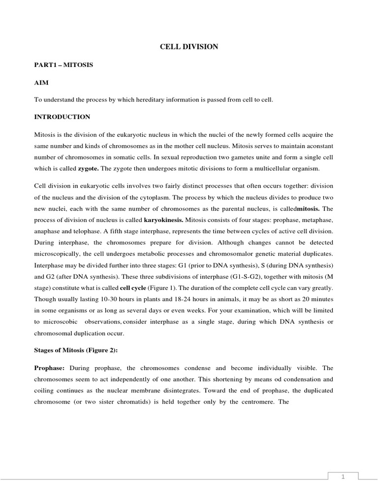 Cell Division Lab Manual | PDF | Meiosis | Mitosis