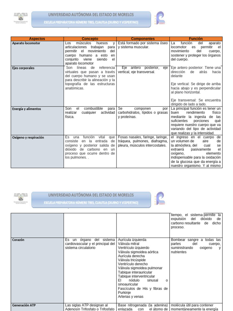 Tabla de Los Aspectos y Procesos | PDF | Sistema circulatorio ...