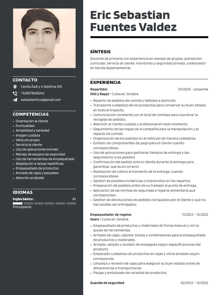 CV 2 | PDF