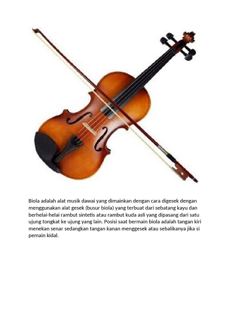 Pengertian dan Cara Main Biola | PDF