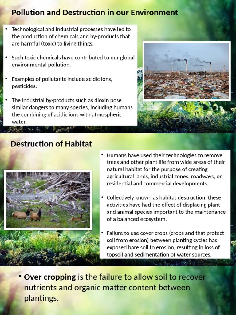 Biodiversity and Health | PDF | Soil | Habitat Destruction