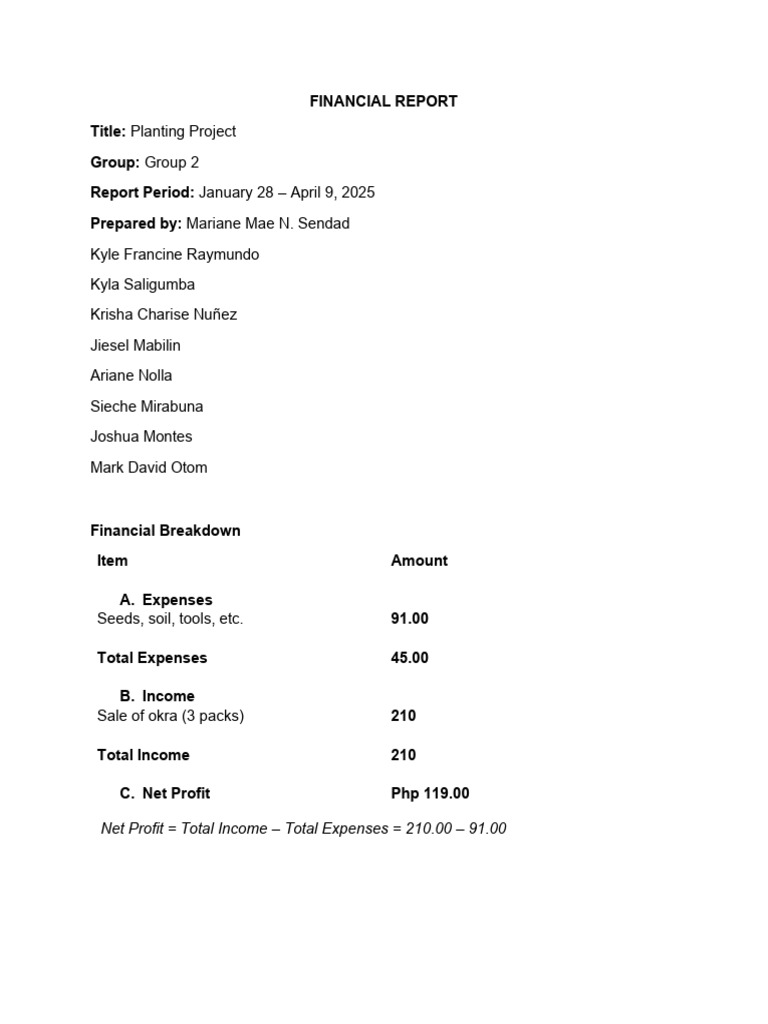 Financial Report | PDF
