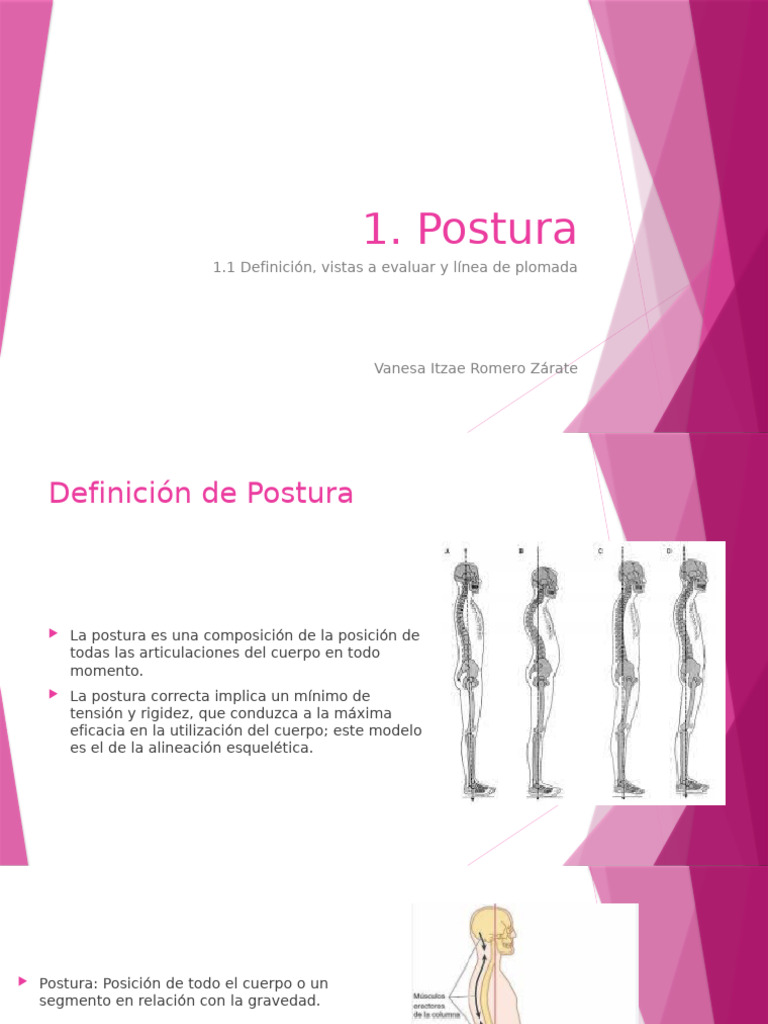 Evaluación y Control de la Postura | PDF | La columna vertebral