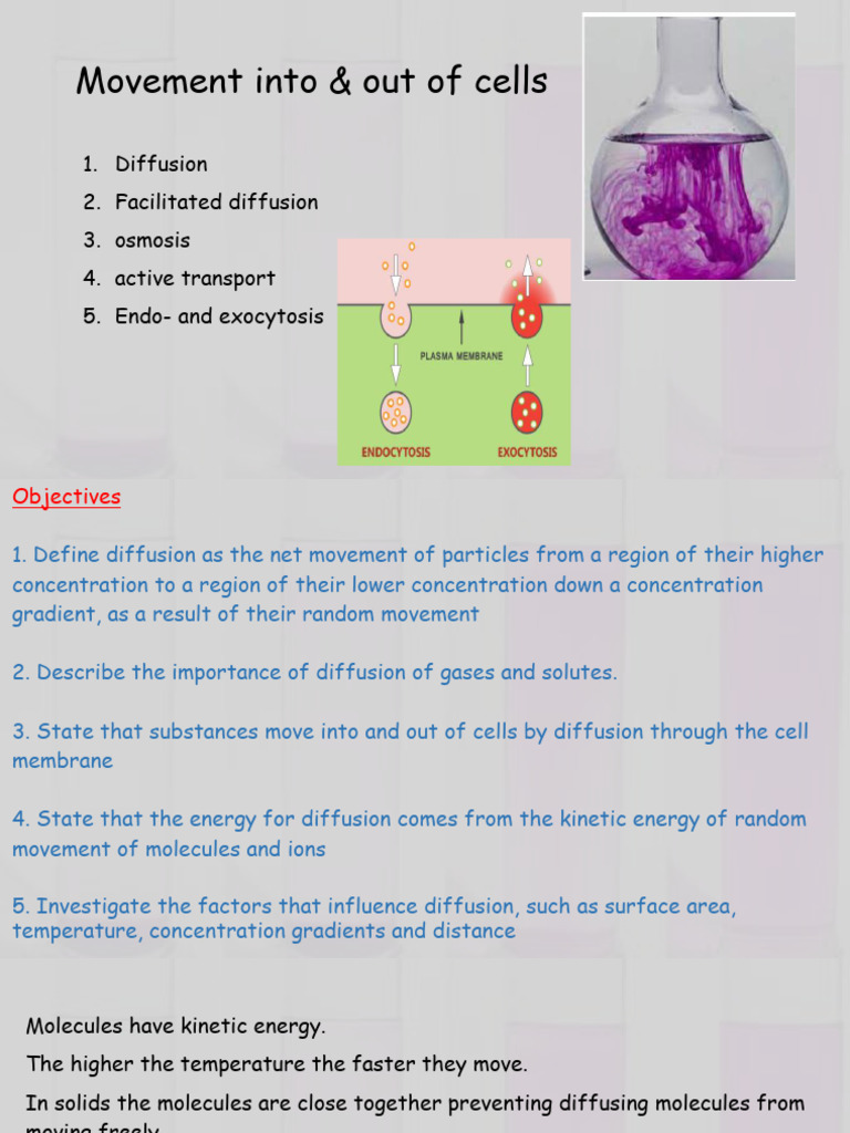 Understanding Osmosis and Diffusion | PDF | Osmosis | Diffusion