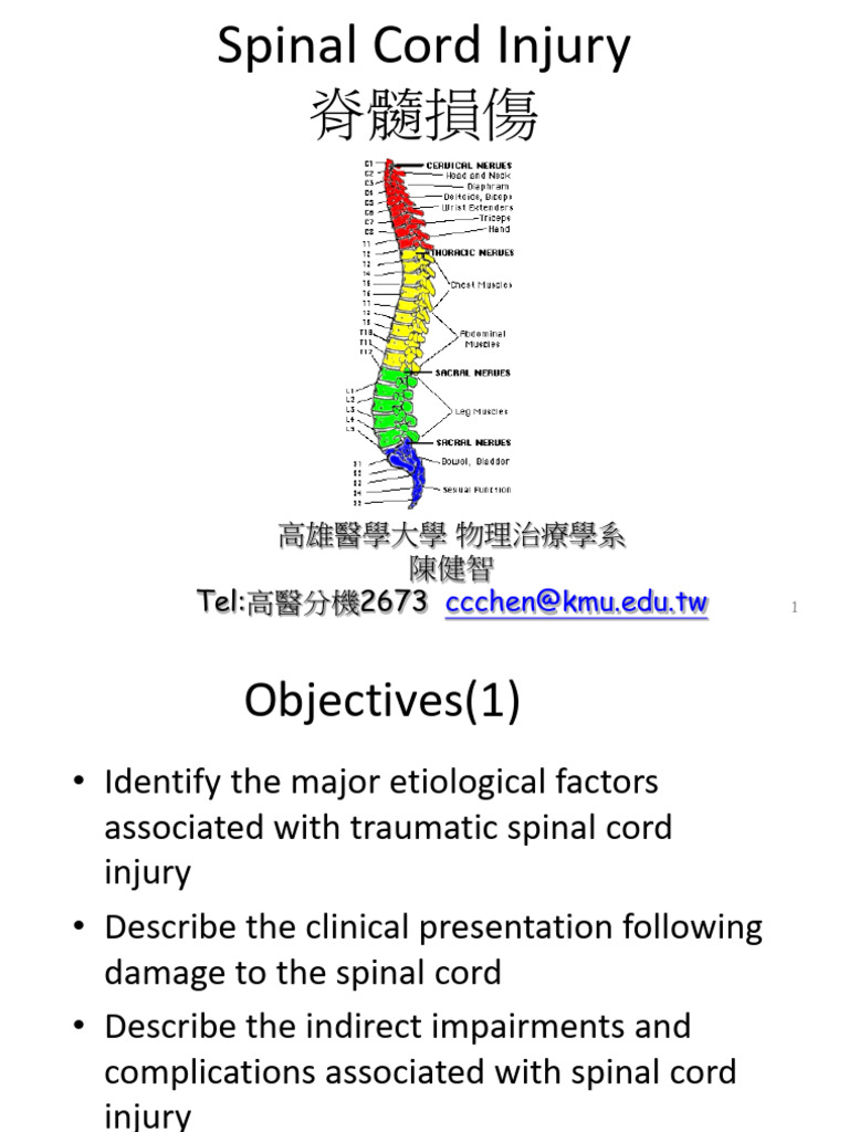 Spinal Cord Injury Overview and Management | PDF | Spinal Cord ...