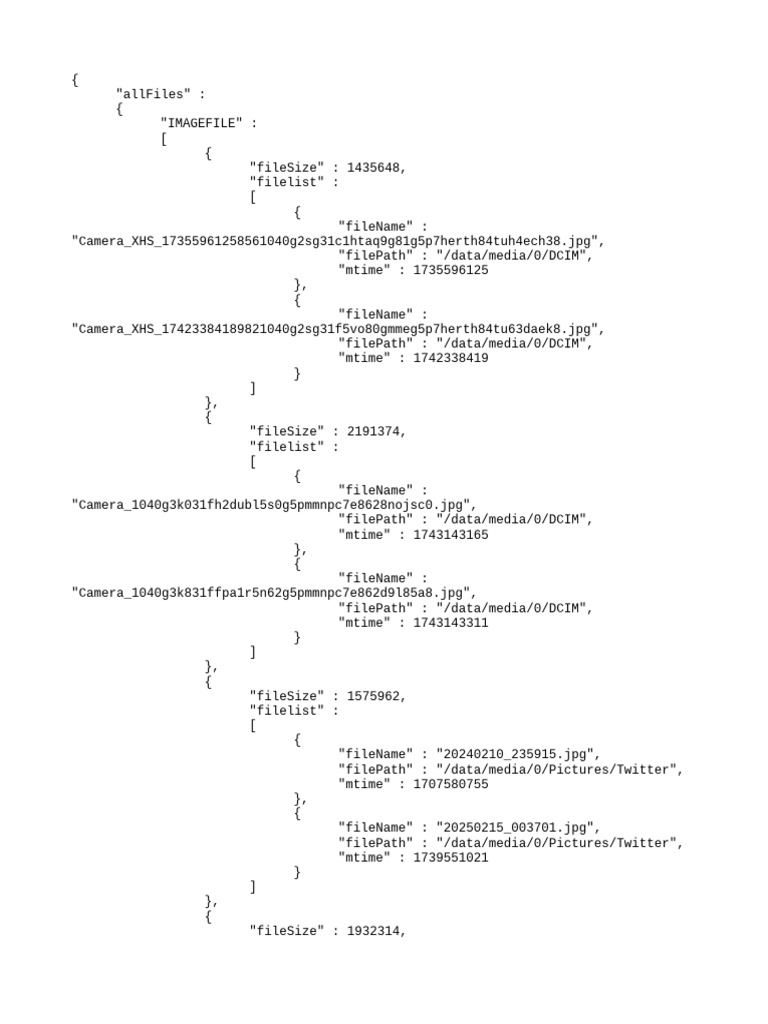Camera Image File List Overview | PDF