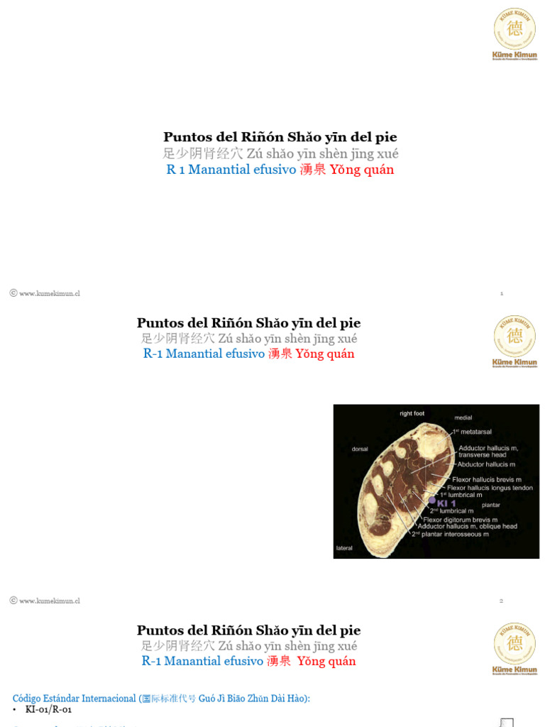Puntos de Acupuntura Riñón R-1 y R-2 | PDF | Qi | Tobillo