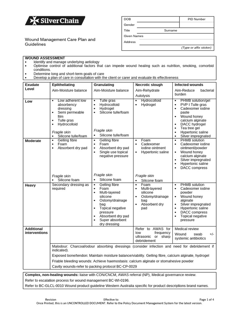 Wound Management Care Plan Guidelines | PDF | Medical Specialties
