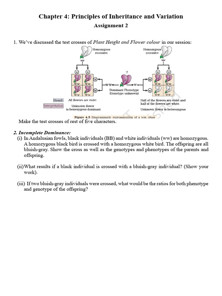 Chapter 4 - Assignment 2 | PDF