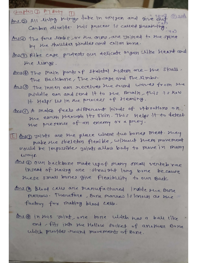 Science Chapter 1 | PDF